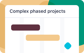 <h5>Complex phased projects</h5>